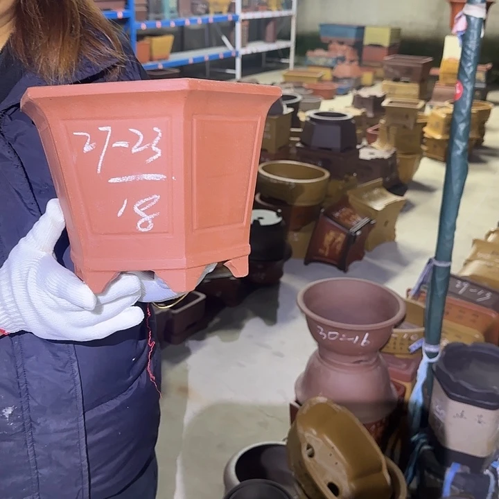 花盆紫砂这是我的