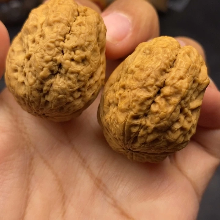 把件文玩核桃36尺脑纹金蟾