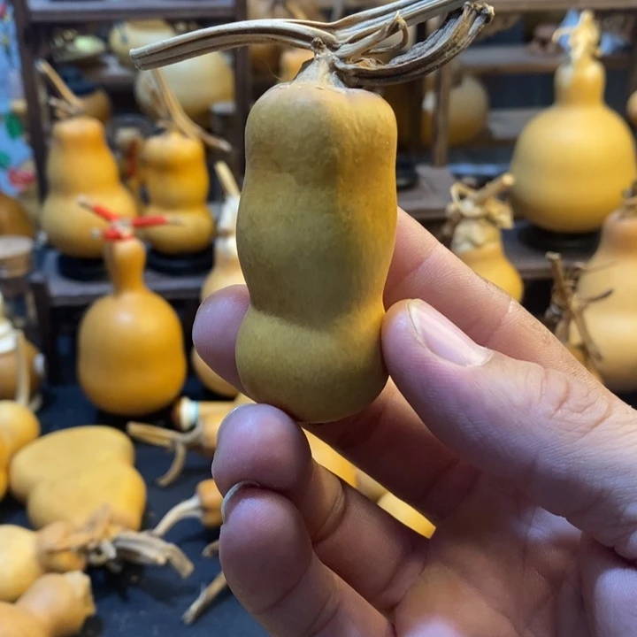 清***光粗嘴八宝八宝八宝