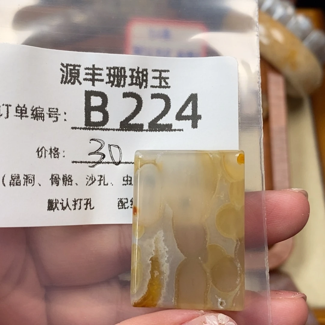 夜***苏未镶嵌颈饰硅化玉