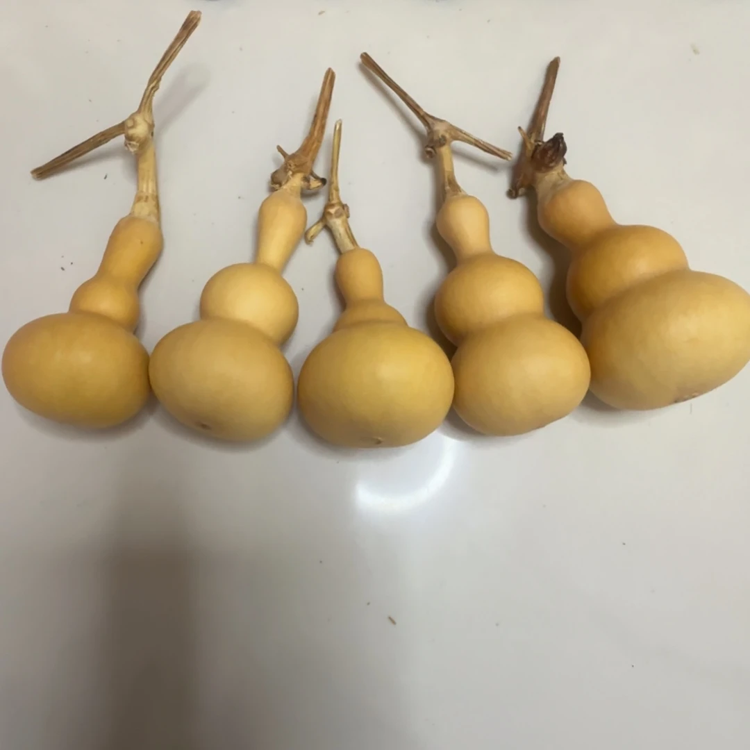 悄悄滴滴八宝葫芦葫芦