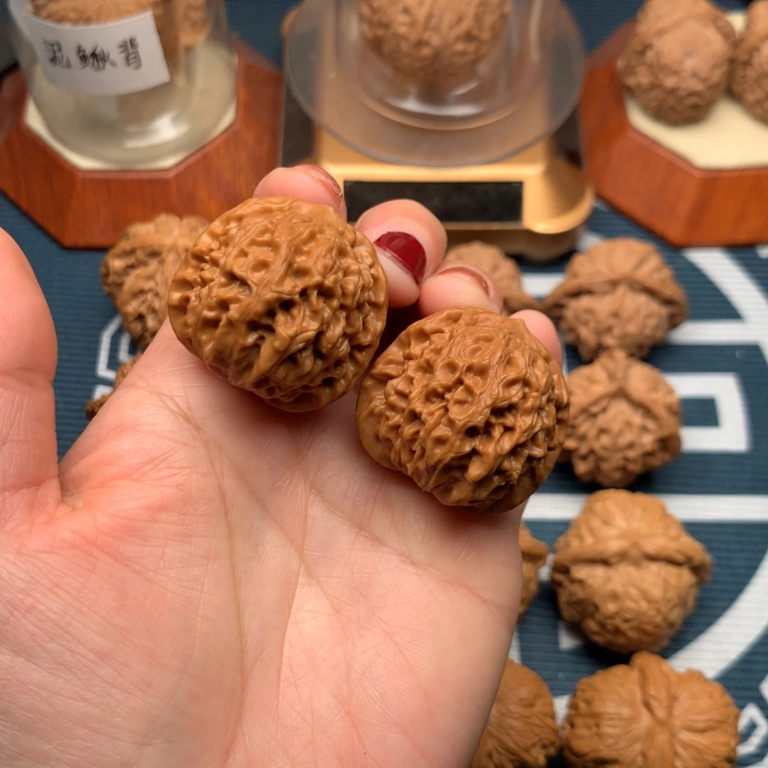 文玩核桃把件明**丶龙眼元宝