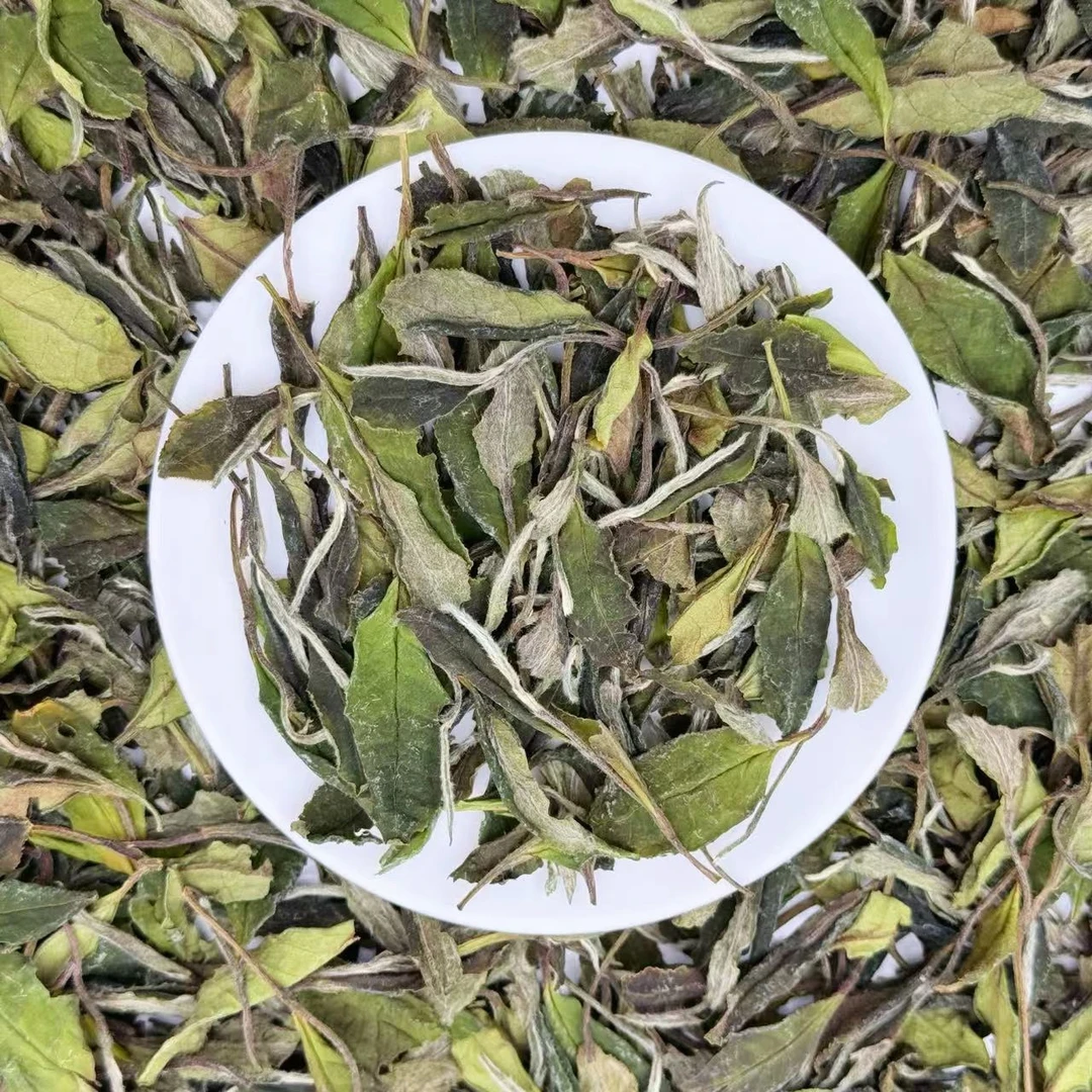 单丛茶福鼎白茶春寿眉散茶磻溪口粮茶香产地2025年