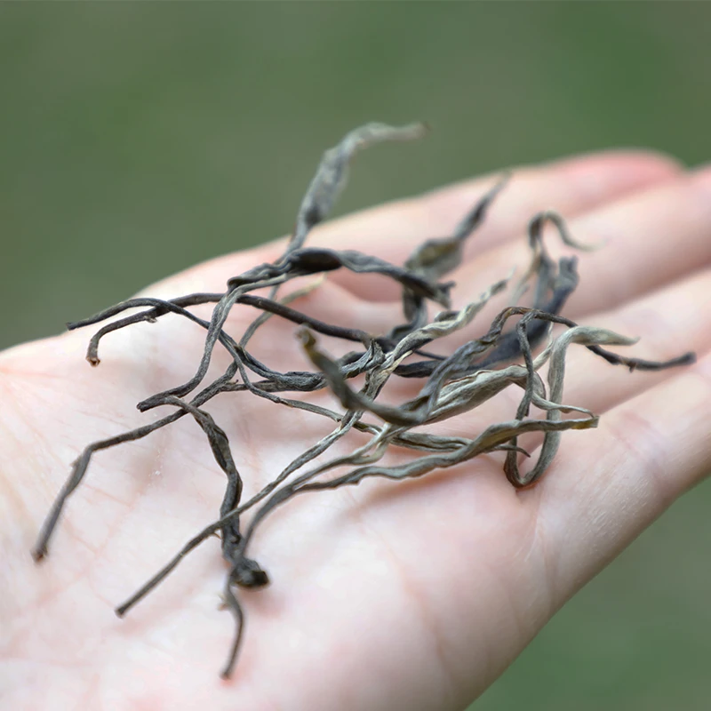 老曼峨50克优良级普洱茶生茶散茶2025春茶尝鲜包邮