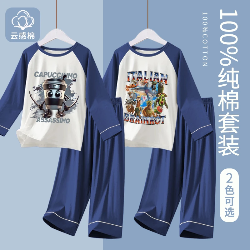 男童睡衣山海经2025新款春秋季纯棉儿童长袖薄款中大童男孩家居服