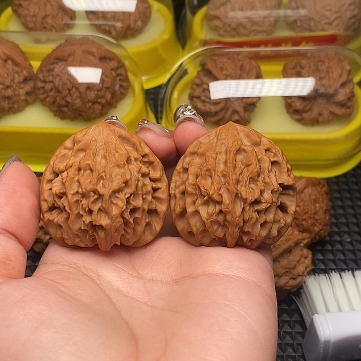 左***歌43凹底龙门涧