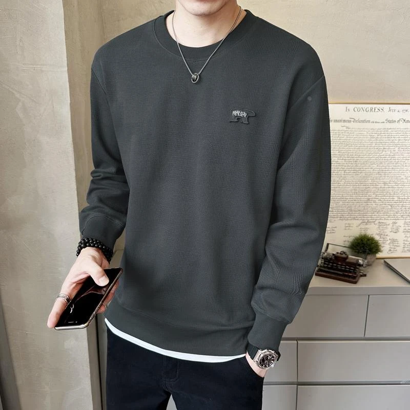 重磅纹理感卫衣男秋季潮流圆领2025新款宽松秋款男士打底衫上衣