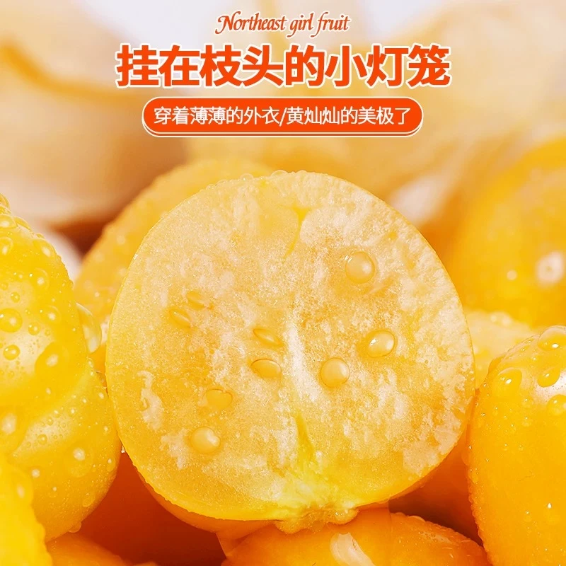 云南姑娘果灯笼果香甜多汁产地直发菇娘果1-5斤整箱包邮新鲜水果