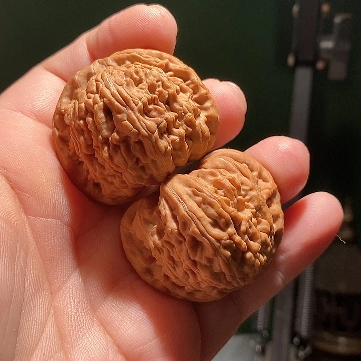 把件文玩核桃42白狮子全品