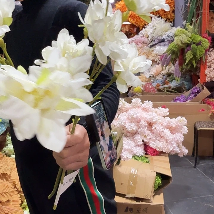 三头大丽花白色10支