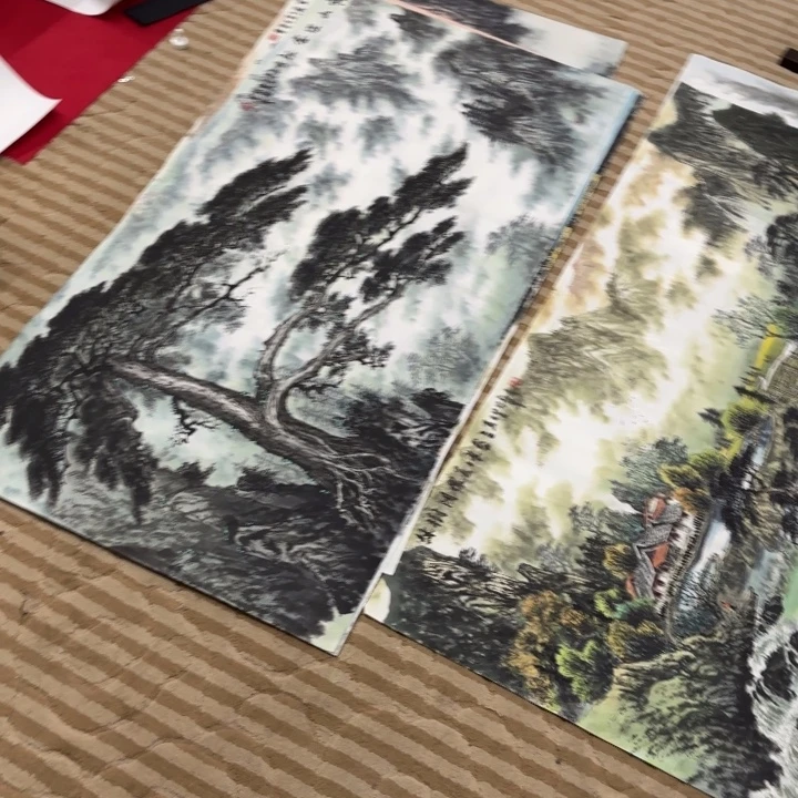 6***7国画花鸟等多种形式