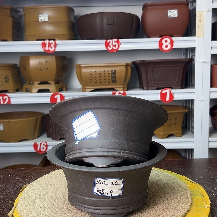 紫砂花盆你在一起