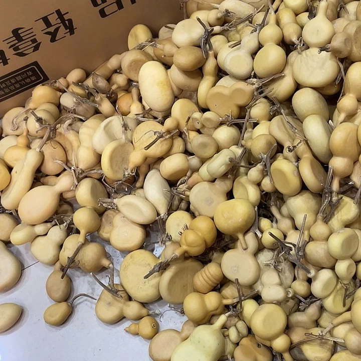 栀*葫芦葫芦葫芦葫芦葫芦葫芦