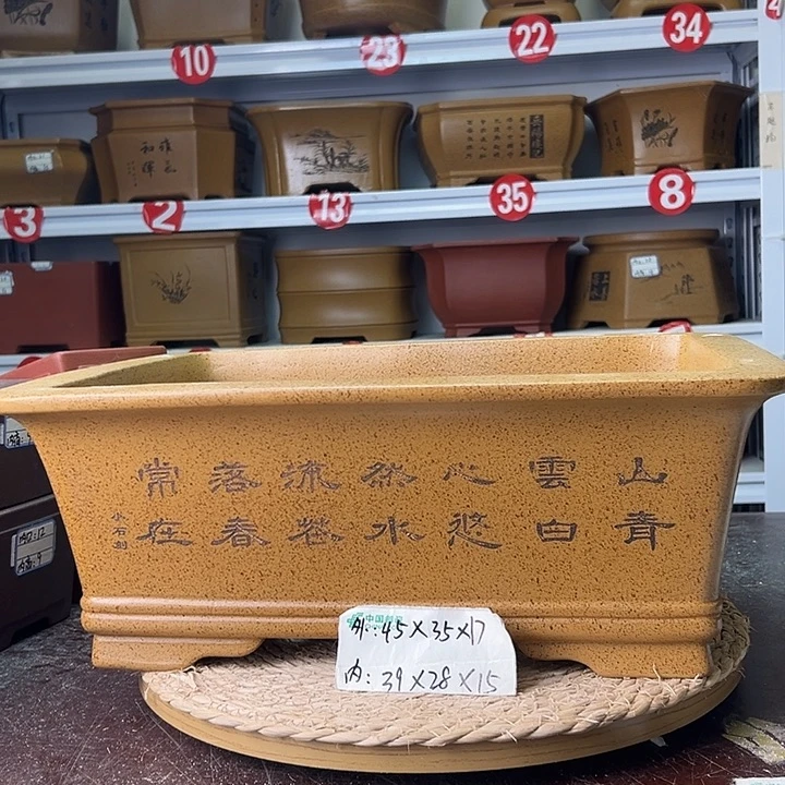 紫砂花盆蛇年大吉