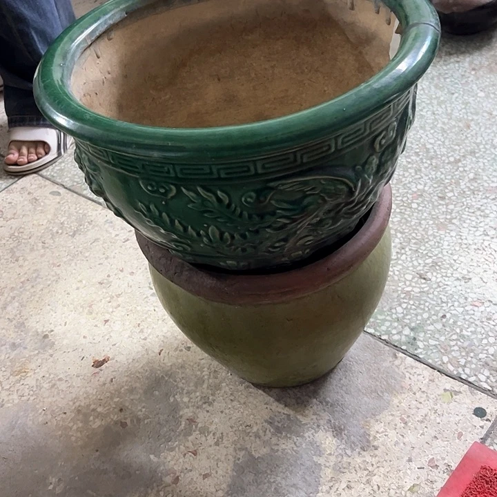 红陶E****兔。。。。。。。。。。。。