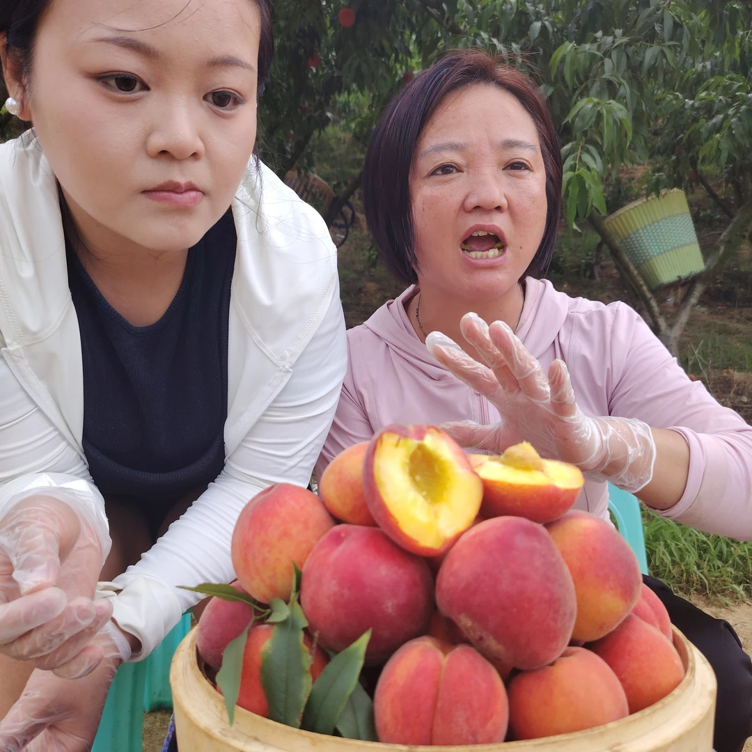 贵州高山农户自家种植 新鲜脆甜 现摘5斤 8斤包邮