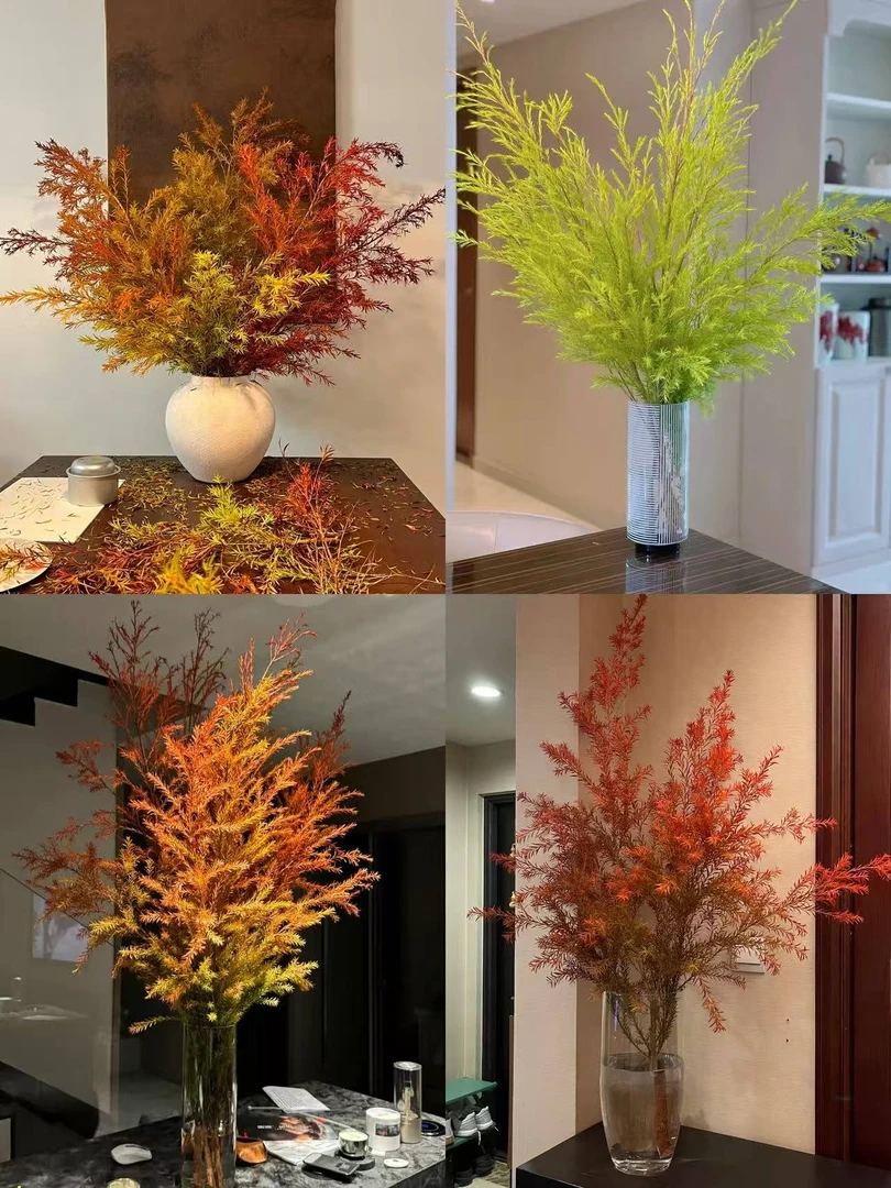 【秋天特定款千层金】黄金香柳/长花期可做干花/鲜切花