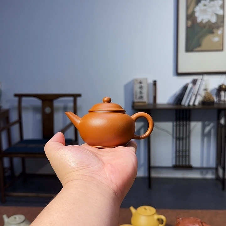 天****紫砂茶壶水平壶1111