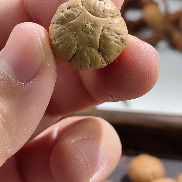 手串凤眼菩提尼泊尔小fy