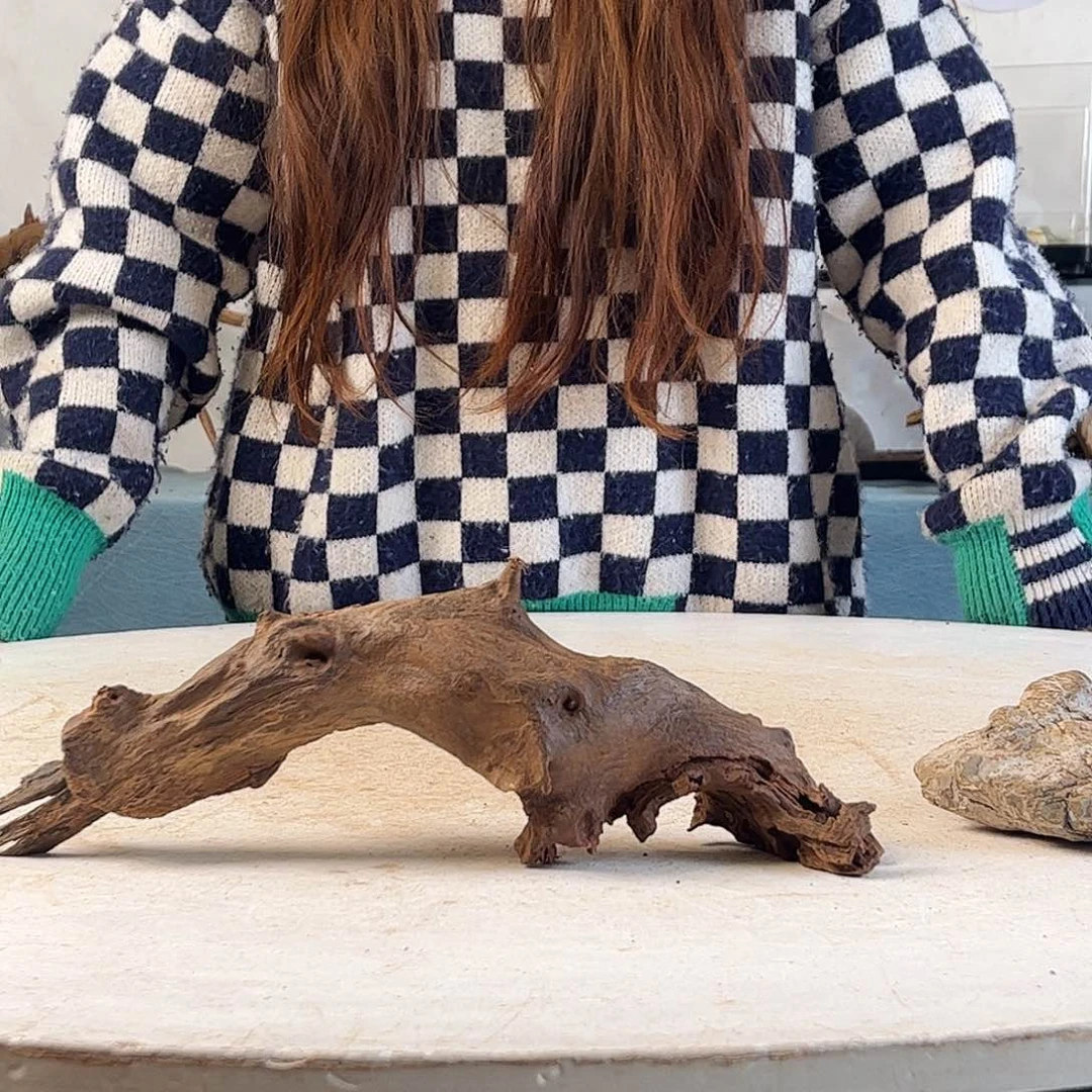 涬***局沉木造景寄居蟹造景