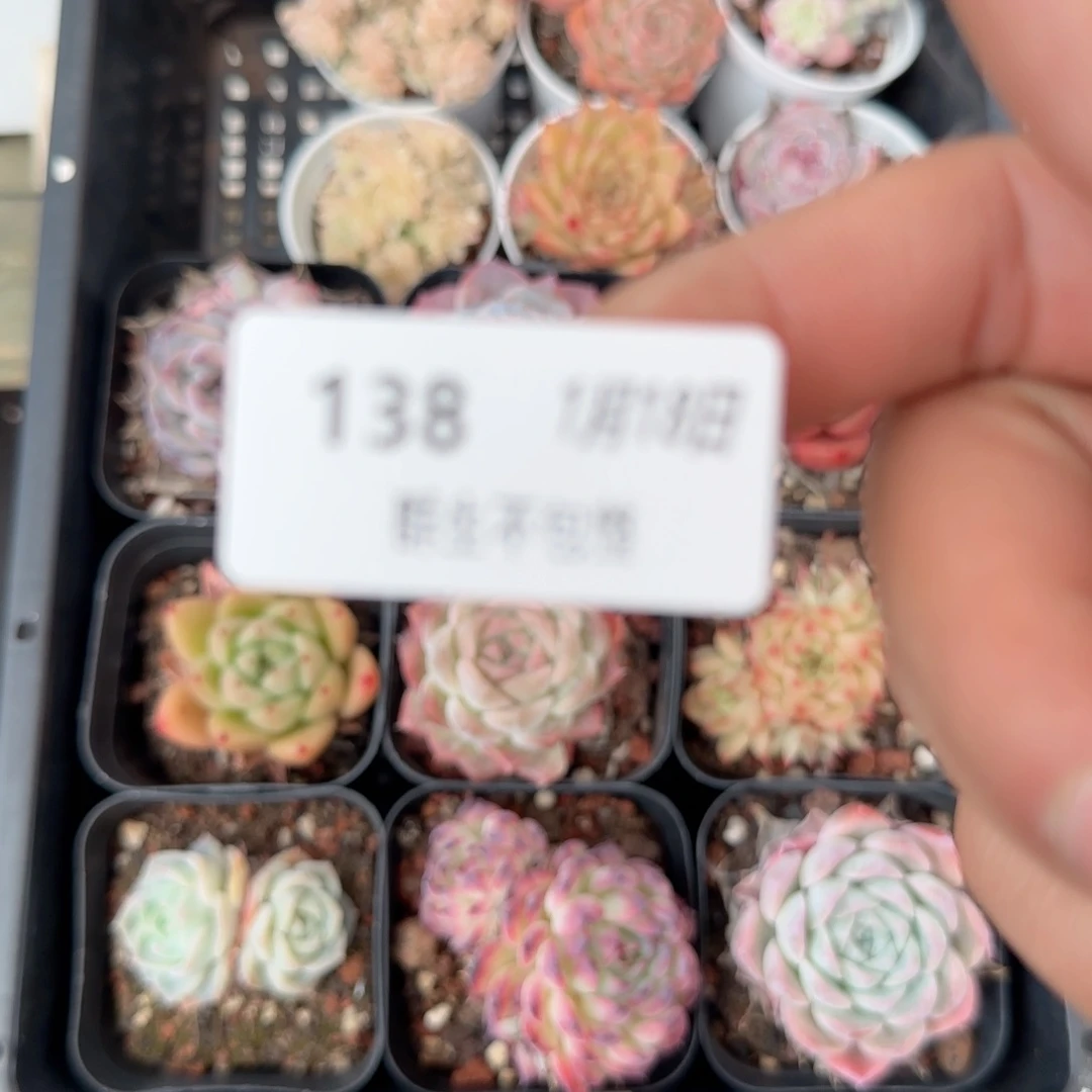 钏*框拍框拍0118-138