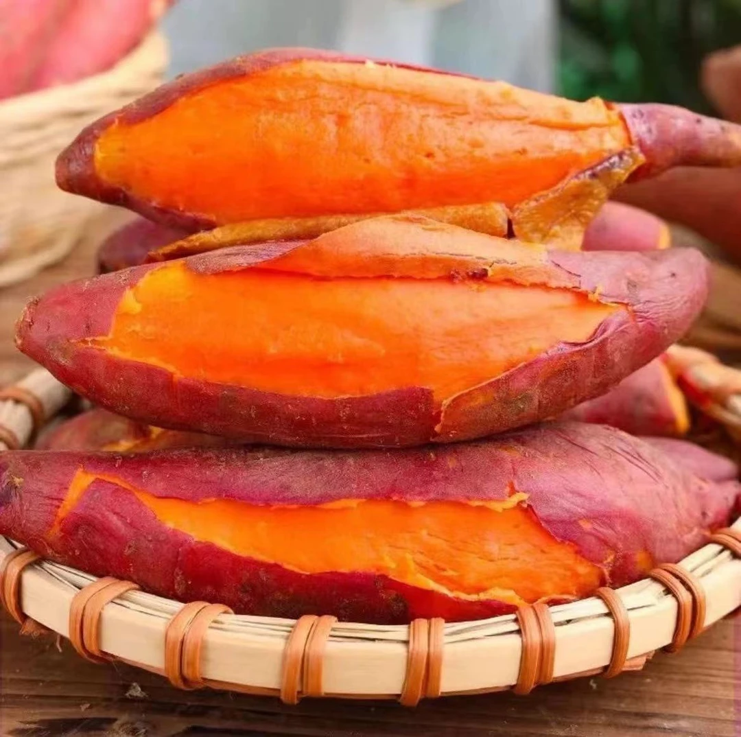 正宗沙地西瓜红红心蜜薯 沙地潘署5斤