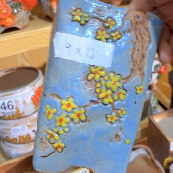 多肉花盆满15包邮