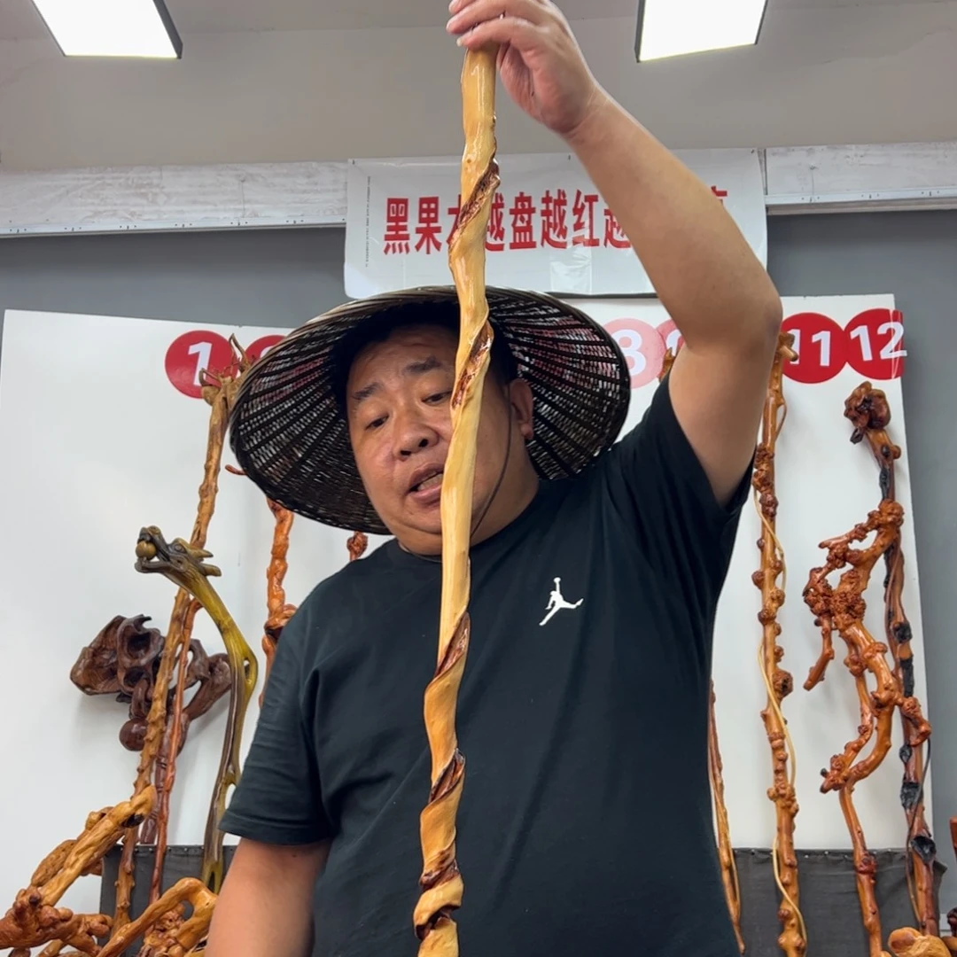 用***9黑果木其他黑果木569
