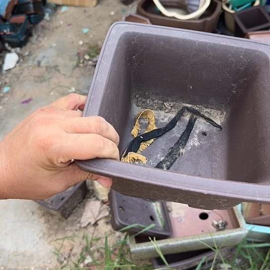 我不在这里吃饭你吃好