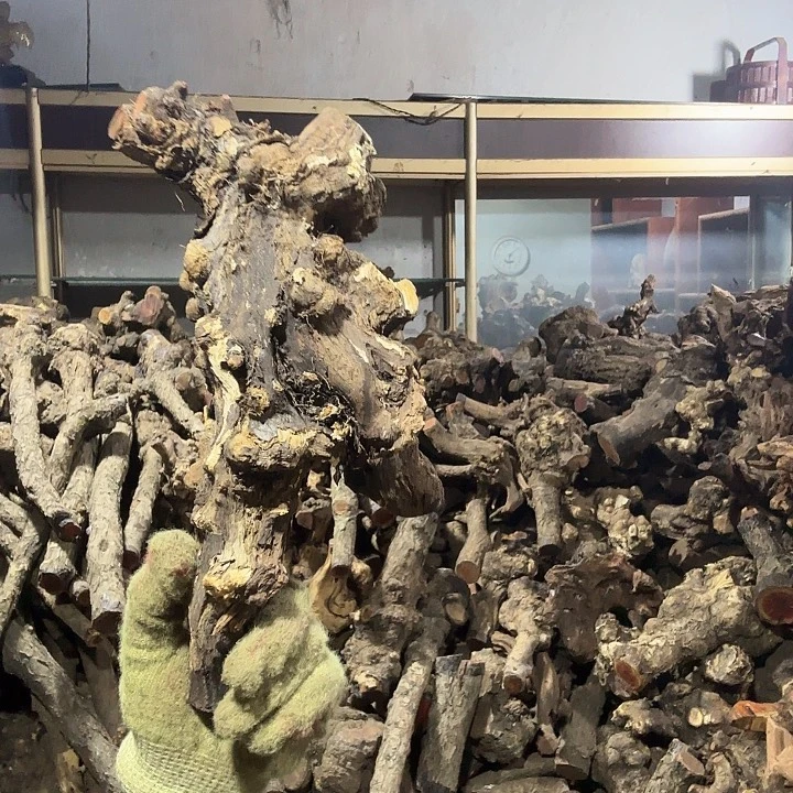 东***艺香榧木火琉璃的故事是一个