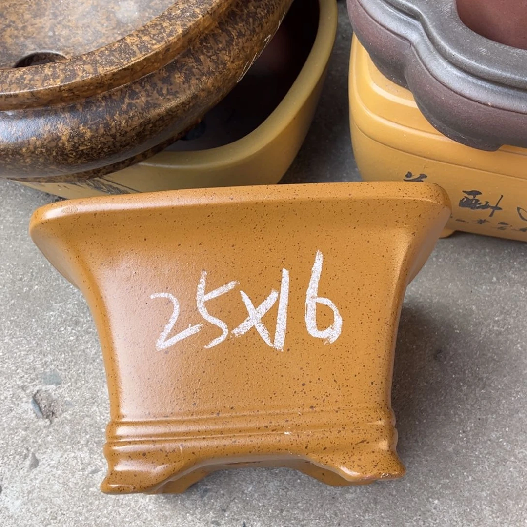 紫砂花盆盆景艺术