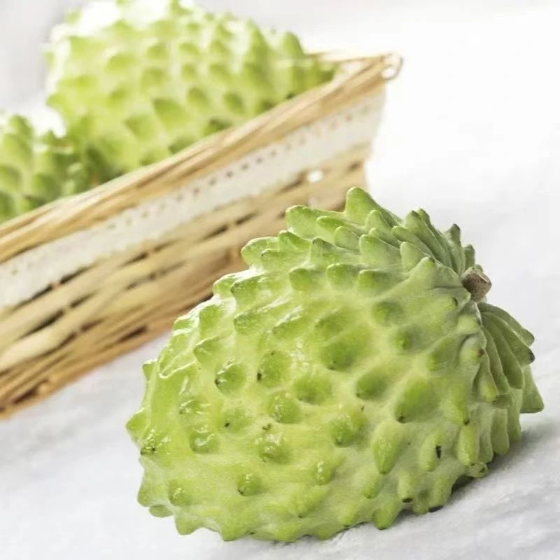 【本土特产】潮汕老树释迦果林檎产地直发软糯香甜