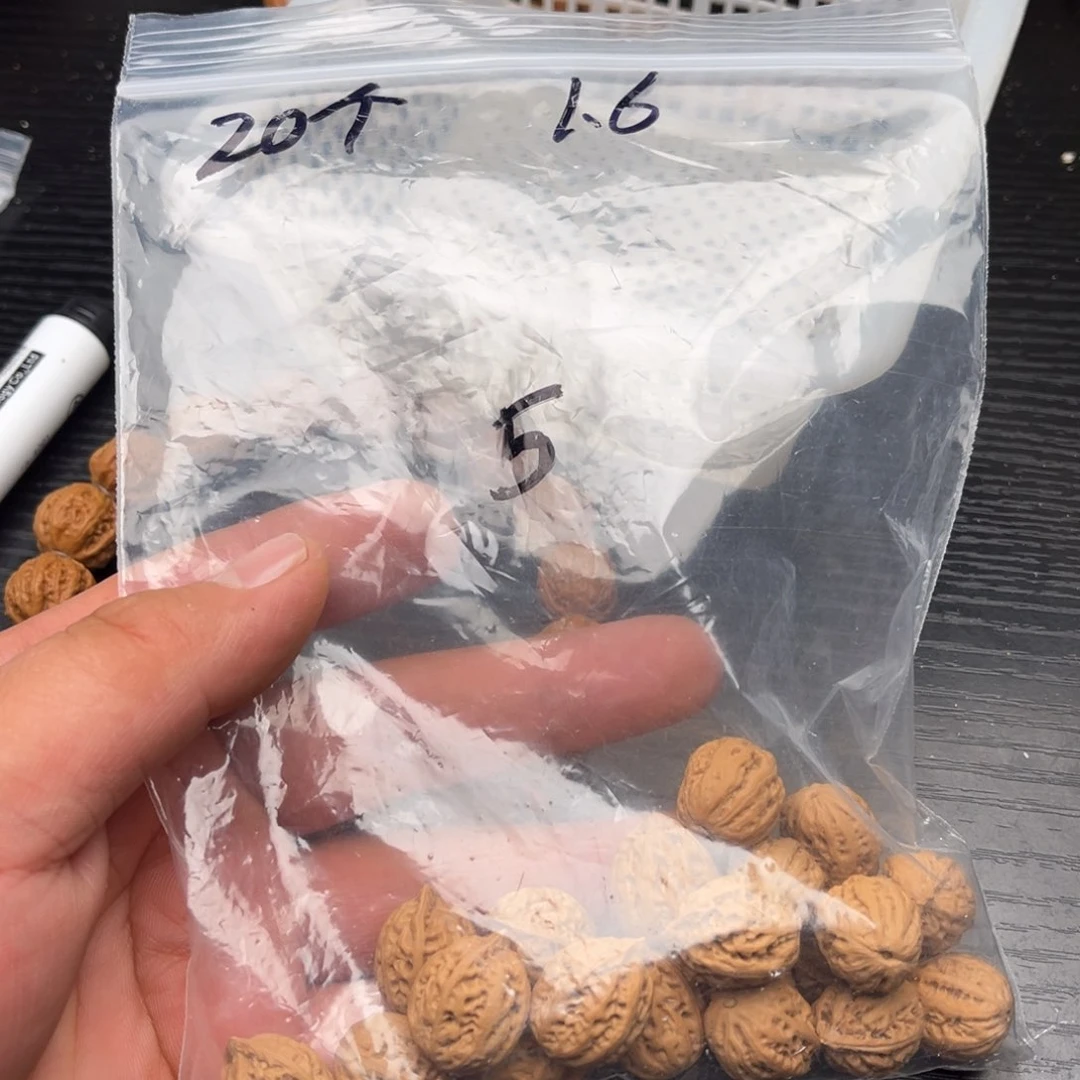 20粒定制打孔，定制商品不退不换