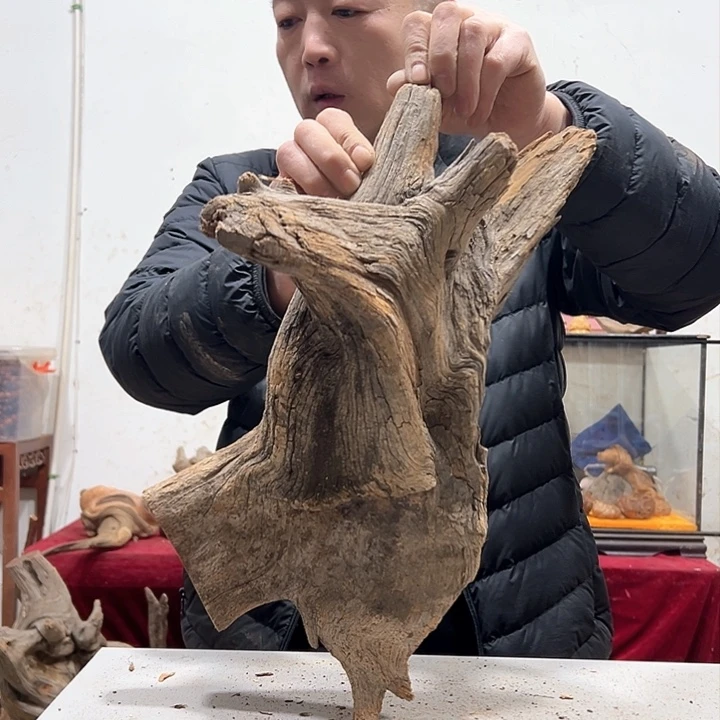 柏木林***石我们的生活也是如此