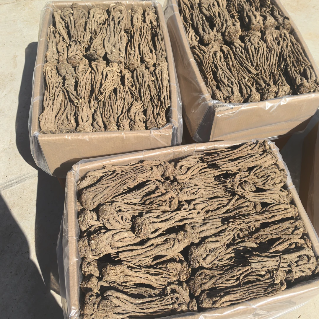 晓伟之源【原产地直发】岷县精选特级全根当归头片泡水中药材