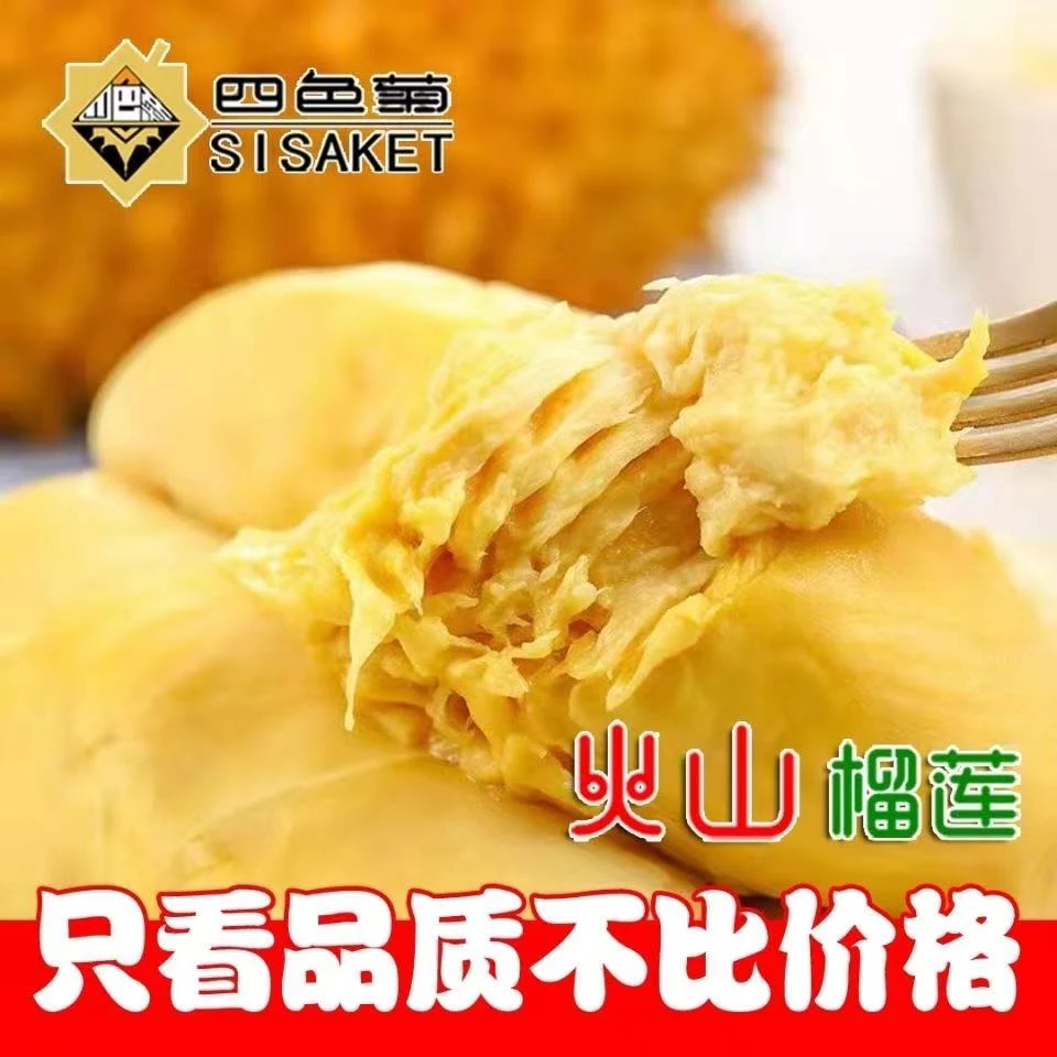 四色菊金枕榴莲冷冻榴莲肉 1斤装/2斤装金枕