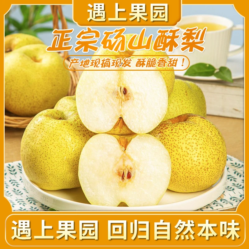 遇上果园【A级果】砀山酥梨脆甜多汁百年老树应季新鲜水果