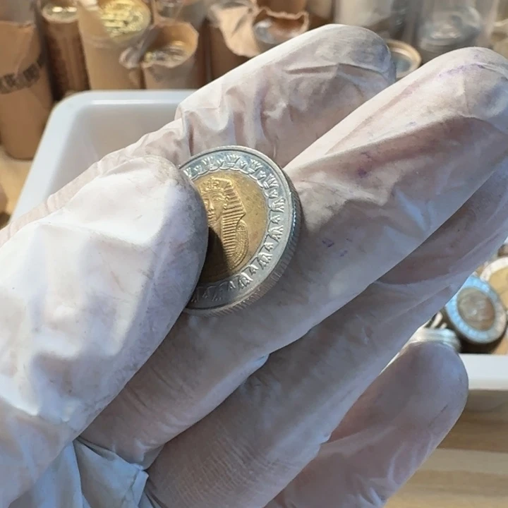 其他普通金属法老币，法老币，流通品