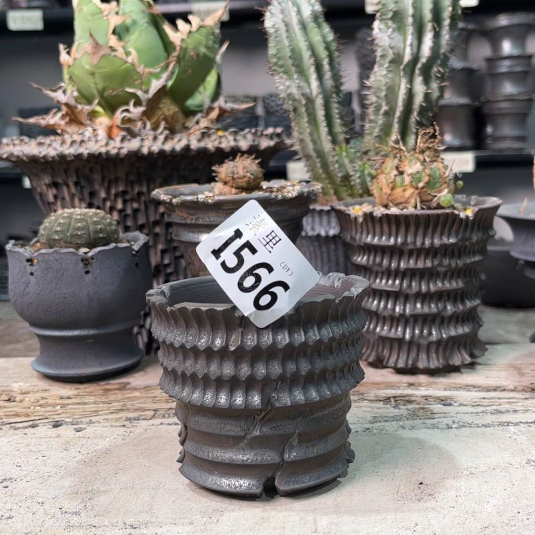 陶内口8高8景德镇