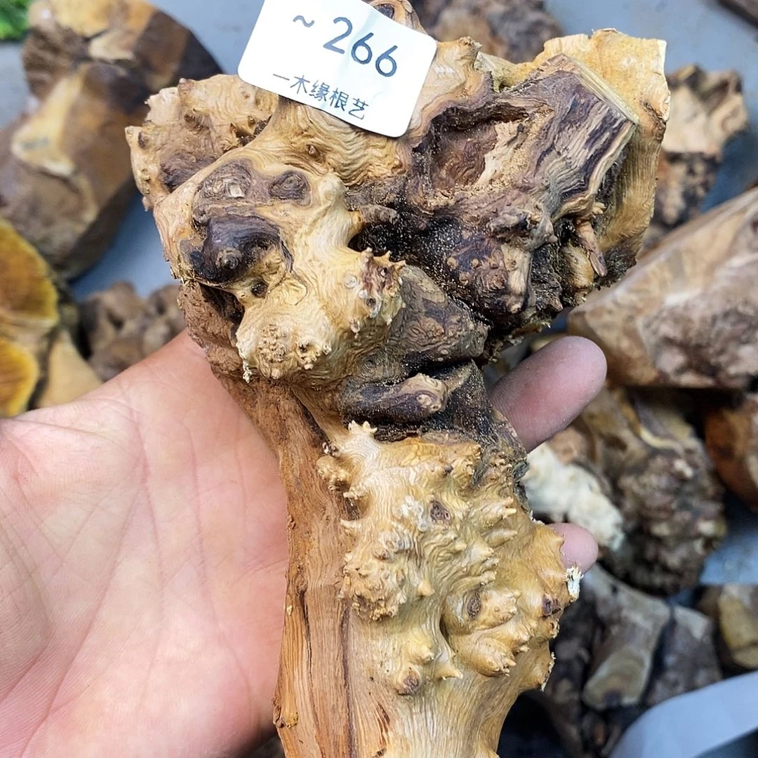 弓***气无花朵00000000000266