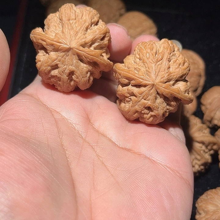 木43全品大克重大粗筋。