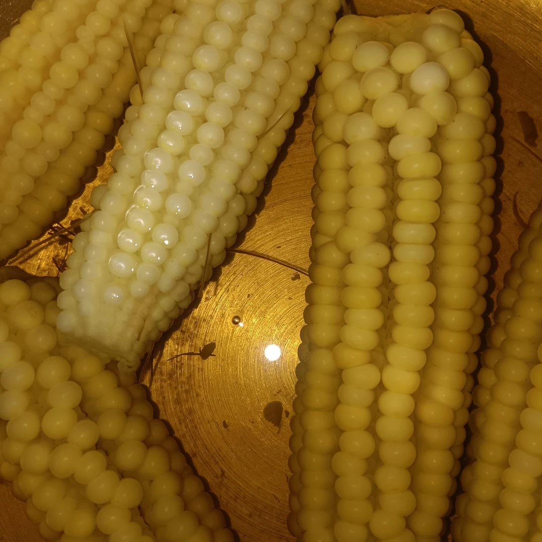 铜川当地常规，玉米棒当季新鲜玉米