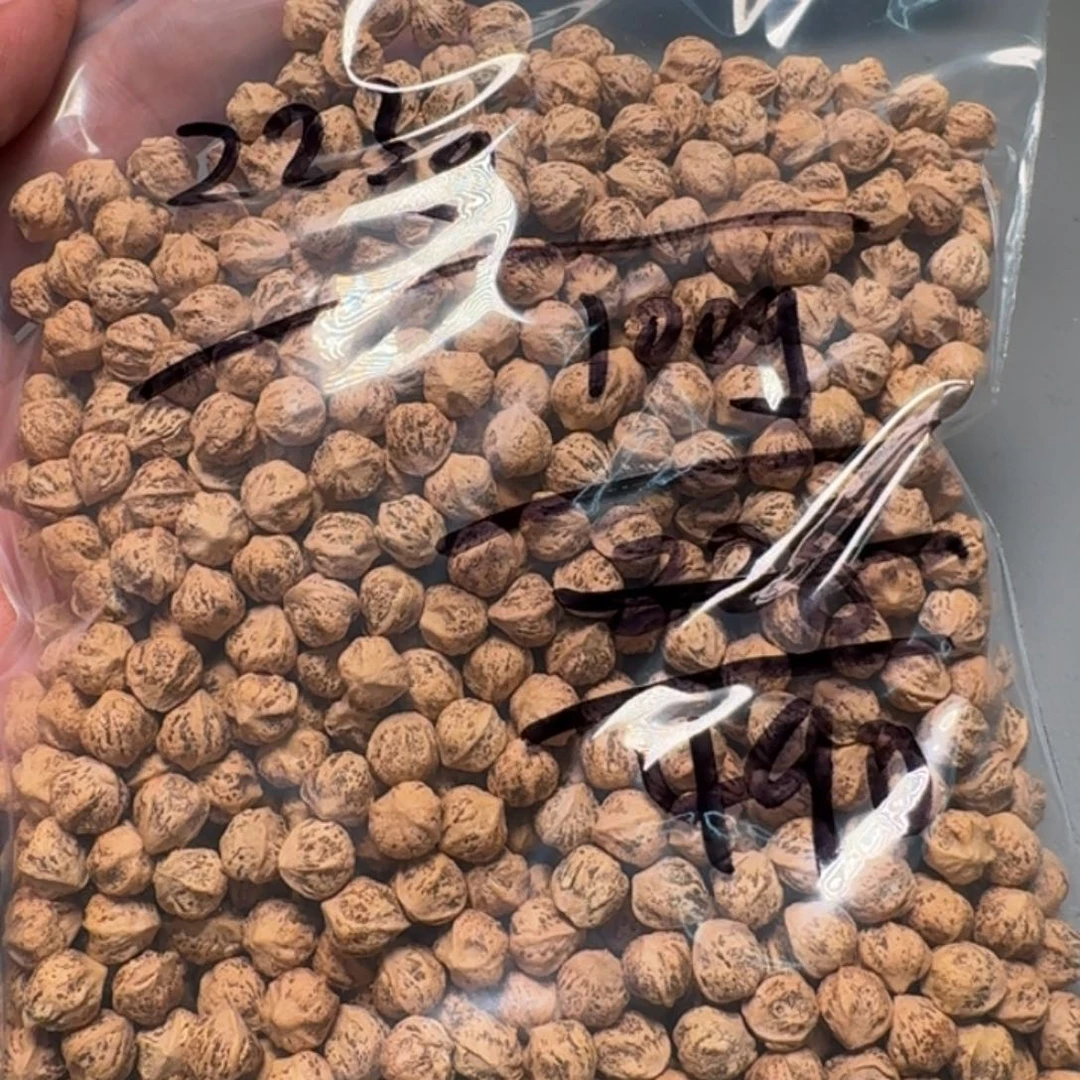 柏香籽/百香籽吊坠超****子