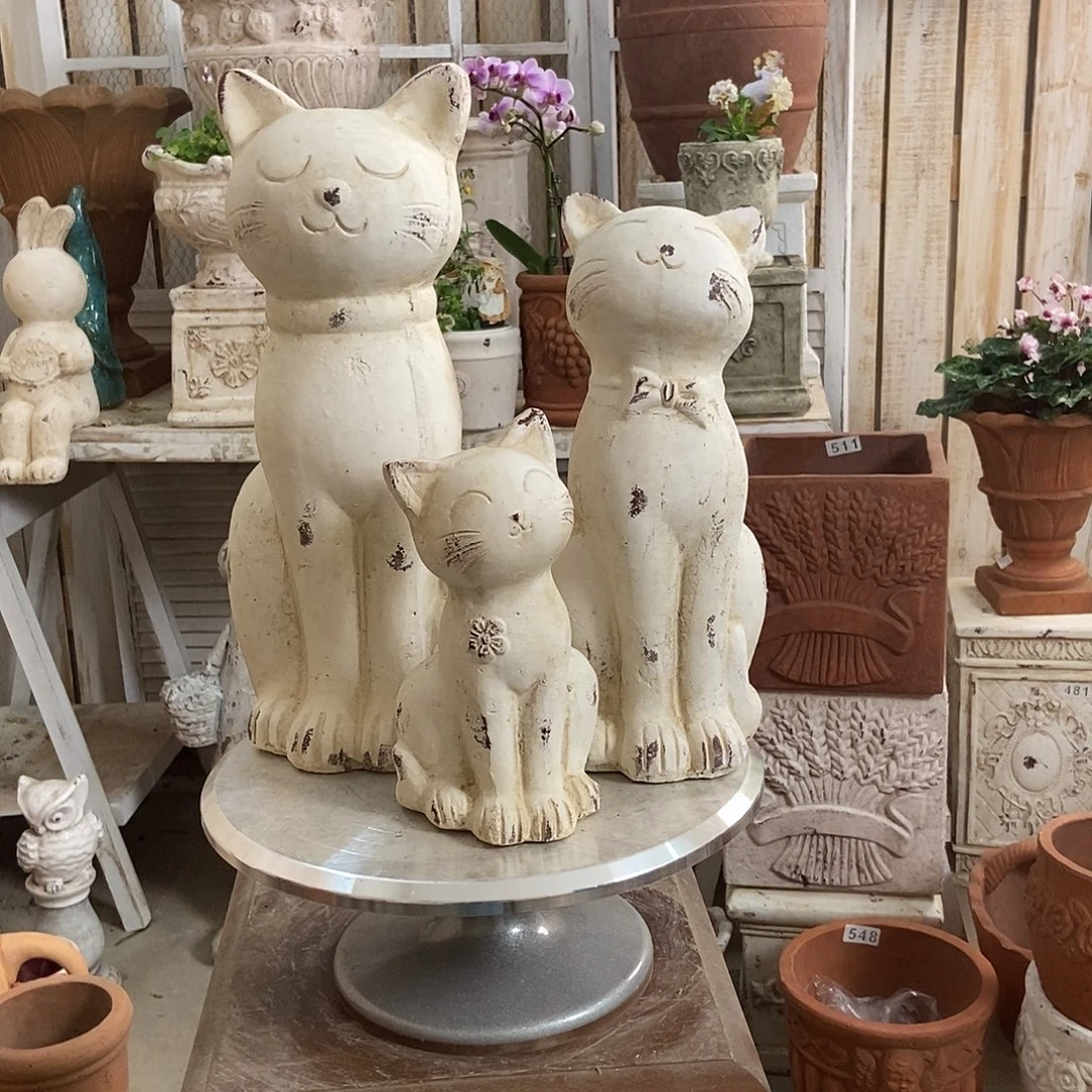 一家三口猫咪。