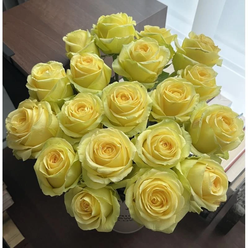 1【浪漫沙滩】单头玫瑰  真花 鲜花  一单中通 拍够任意两单鲜花顺