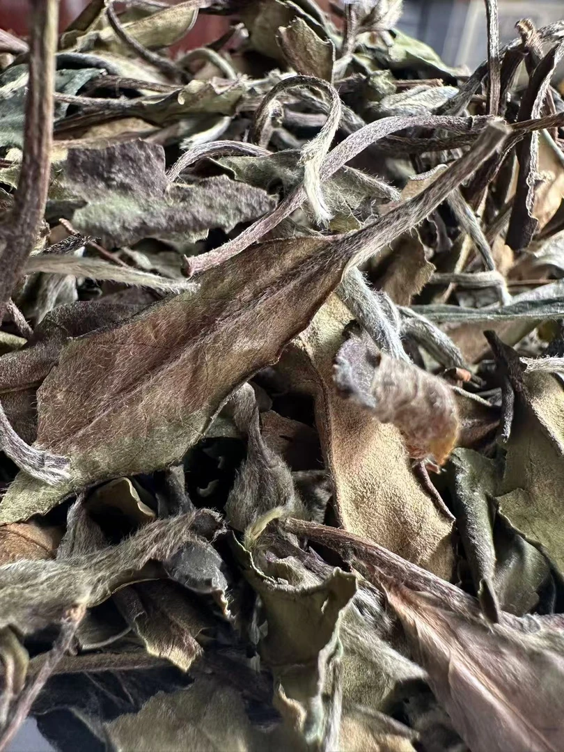 2019年白露寿眉 果蜜香 甘甜醇厚 汤感润滑