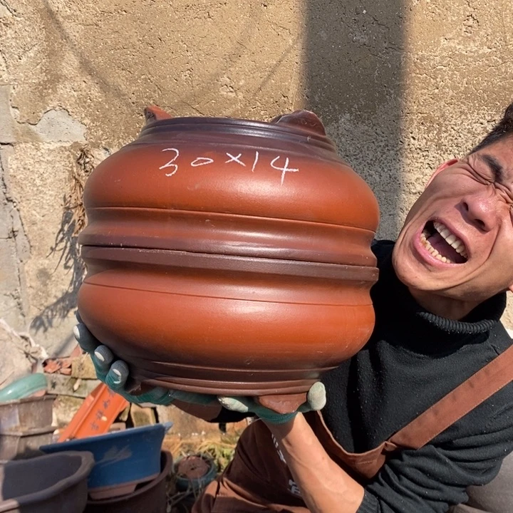 红陶我也不知道为什么