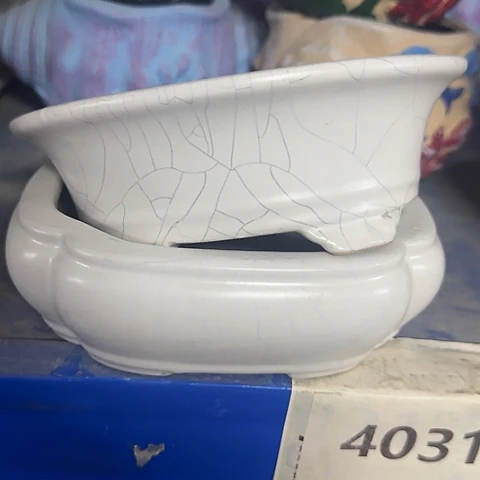 ···2个处理······