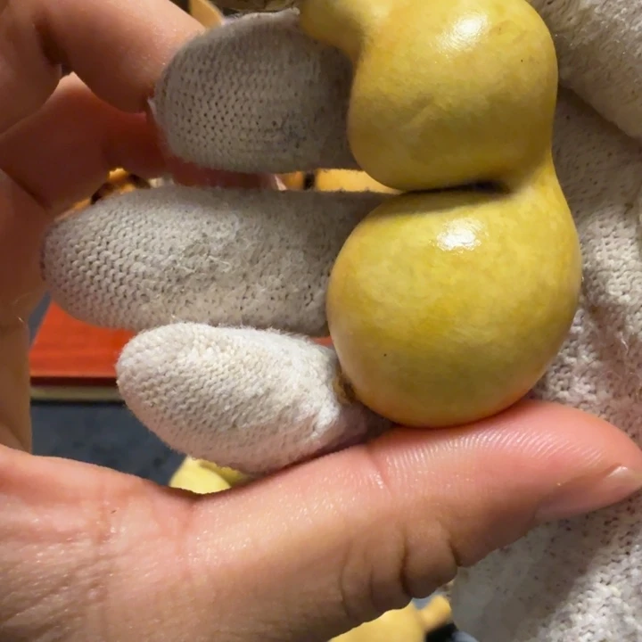 姐***爱抽666666666666566