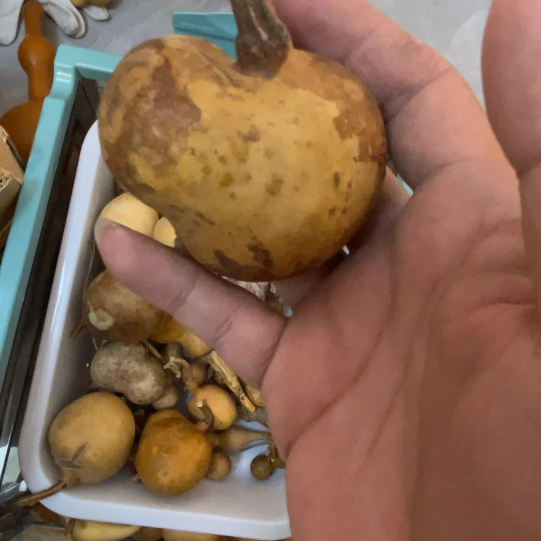小***萝葫芦葫芦葫芦葫芦